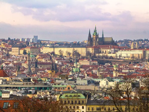 View from Rieger Gardens